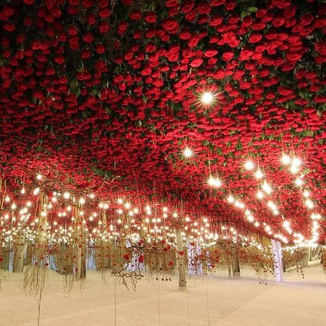 Engagement Decoration, Lebanese Wedding, Flower Ceiling, Wedding Entrance Decor, Red Rose Wedding, Wedding Stage Design, Marriage Decoration, Mandap Decor, Flower Chandelier