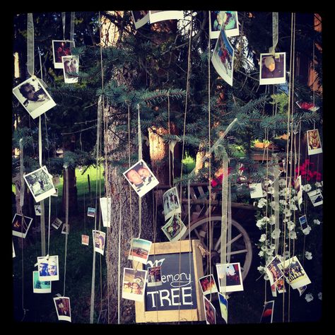 ...wedding memory tree...what a great idea! Photo Memory Display Wedding, Memory Tree Wedding, Country Future, Jojo Wedding, Memory Garden, Memorial Gardens, Wedding Wardrobe, Wedding Memory, Memorial Ideas