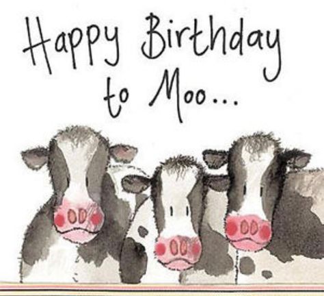 Sarcastic Happy Birthday, Happy Birthday Cow, Sparkle Birthday, Birthday Wishes Greetings, Birthday Greetings Friend, Happy Birthday Art, Happy Birthday Greetings Friends, Cow Birthday, Happy Birthday Messages