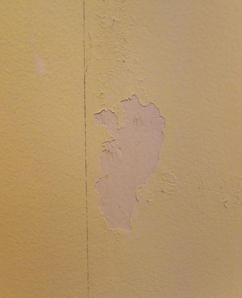 Painting Over Wallpaper Glue: Be Sure to Do This First! | Driven by Decor Removing Wallpaper Glue Residue, Remove Wallpaper Glue, Wallpaper Repair, Clean Wallpaper, Removing Wallpaper, Painting Over Wallpaper, Removing Old Wallpaper, Remove Wallpaper, Wallpaper Glue