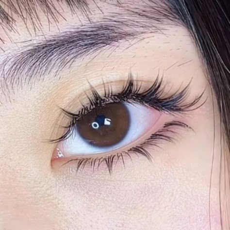 Wispy Volume, Doll Eye Makeup, Swag Makeup, Edgy Makeup, Cute Makeup Looks, Asian Eye Makeup, Fake Eyelashes, Asian Makeup, Lashes Makeup