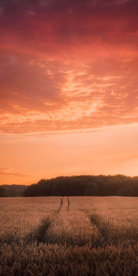 Golden Aesthetic, Sunset Photography Nature, Field Engagement Photos, Water Landscape, Pikachu Wallpaper, Scenery Photography, Scenery Pictures, Cloud Wallpaper, Winter Wallpaper