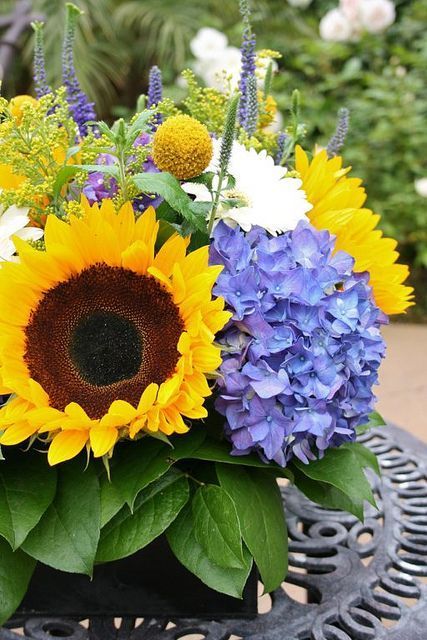 Flowers Sunflowers, Wedding Flowers Sunflowers, Purple Hydrangea, Cheap Wedding Flowers, Gerbera Daisies, Beach Wedding Flowers, Hydrangea Purple, Rustic Wedding Flowers, Sunflower Bouquets