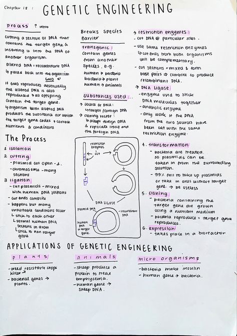 #neatnotes #neathandwriting #aestheticnotes #biologynotes #genetics #geneticengineering Genetics Aesthetic Notes, Biotechnology Notes Neet, Molecular Genetics Notes, Genetic Engineering Notes, Bsc Biotechnology Notes, Microbiology Quotes, Genetics Notes Biology, Bio Medical Engineering, Biotechnology Aesthetic