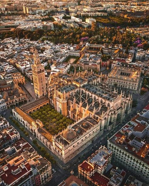 (9) Architecture & Tradition on X: "7. Seville Cathedral, Spain 🇪🇸 📷:@world_walkerz https://t.co/3AVMWgE4dD" / X Architecture Castle, Seville Cathedral, History Architecture, Andalucia Spain, European Architecture, Spain Travel, Seville, Travel And Leisure, Santa Maria