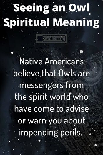 Owl Symbolism, Native American Mythology, Be Mysterious, Spiritual Ideas, Owl Quotes, Native American Wisdom, Black Owl, Spiritual Stuff, Thyroid Issues