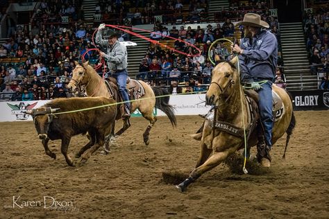 Team Roping | Cowboys working in tandem to rope this steer. … | Flickr Roping Photography, Roping Horse, Working Cow Horse, Team Roper, Cowboy Photography, Calf Roping, Roping Saddles, Bronc Riding, Rodeo Time