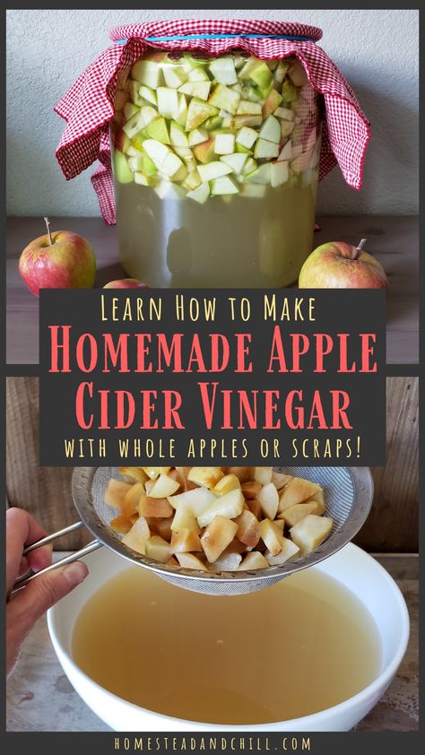 Come learn how easy it is to make your own apple cider vinegar at home, using whole apples - or apple scraps, like cores and skins! Raw fermented apple cider vinegar is healthy, cost-effective, and delicious! Apple Scraps, Preserving Apples, Homemade Apple Cider Vinegar, Homemade Cider, Make Apple Cider Vinegar, Apple Cider Vinegar Recipes, Apple Cider Vinegar Remedies, Streusel Muffins, Homemade Apple Cider