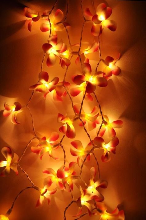 Deco Orange, String Fairy Lights, Frangipani Flower, Patio Wedding, Table Centerpiece Decorations, Battery String Lights, Lantern String Lights, Table Centrepiece, Orange Walls