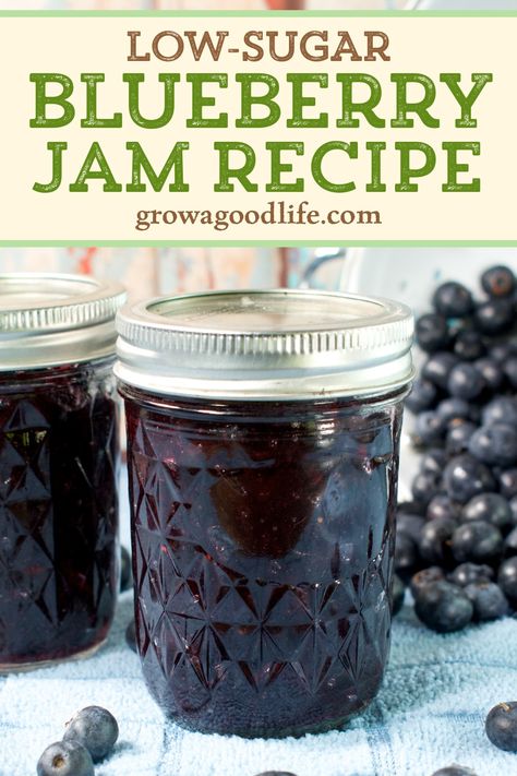 Savor the taste of summer with our mouthwatering blueberry jam recipe. Learn how to preserve a delicious batch of blueberry jam that will elevate your breakfast spreads, enhance your desserts, and make for thoughtful homemade gifts. Wild Blueberry Jam Recipe, Blueberry Freezer Jam Low Sugar, Blueberry Jam Recipe Canning With Pectin, Blueberry Jam Recipe Easy No Pectin, Blueberry Jam Canning Recipes, Blueberry Jam From Frozen Blueberries, Blueberry Jam With Pectin, Blueberry Jam Recipe Canning, Blueberry Jam Recipe Easy