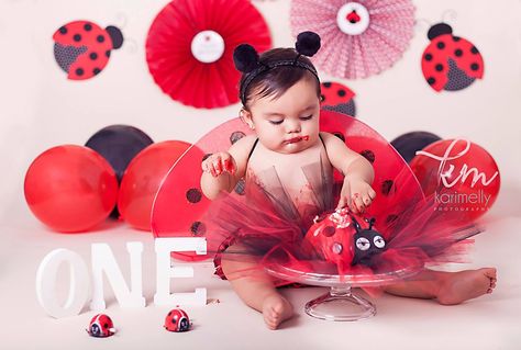 Ladybug Photoshoot, Pjs Party, Themed Cake Smash, Valentines Photoshoot, Ladybug Cakes, Sophia Grace, Owl Cakes, Ladybug Birthday Party, Baby Ladybug