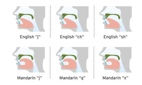 How To Learn Mandarin Chinese Pronunciation How To Learn Mandarin, Chinese Language Writing, Chinese Slang, Chinese Pronunciation, Study Chinese, Bahasa Mandarin, Chinese Grammar, Learning Mandarin, Mandarin Lessons