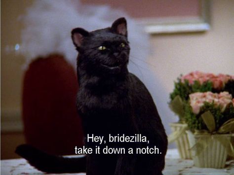 Bridezilla Sabrina the Teenage Witch Salem Saberhagen, Salem Cat, Some Love Quotes, Series Quotes, Sabrina Spellman, Film Quotes, Tv Quotes, Archie Comics, Cat Quotes