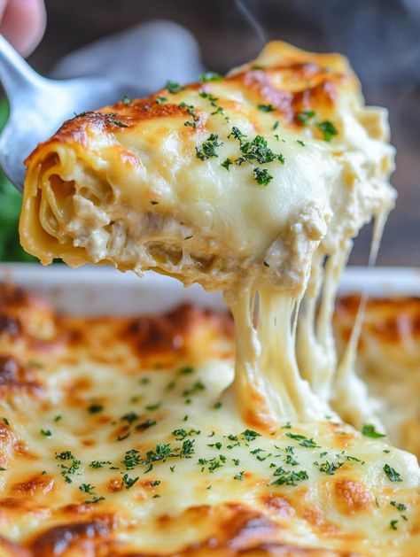 Creamy Chicken Lasagna Lasagna Recipe Alfredo, Chicken Fettuccine Lasagna, Creamy Chicken And Broccoli Lasagna, Chicken Florentine Lasagna, Creamy Chicken Lasagna Recipe, Rotisserie Chicken Lasagna Recipes, Marry Me Chicken Lasagna, Dinner For 7 People, Shredded Chicken Lasagna