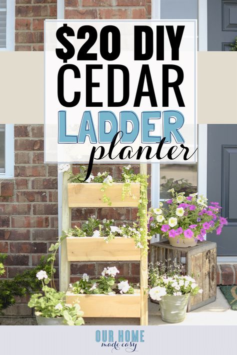 Make this super easy $20 cedar ladder planter! It's perfect for beginner projects and doesn't require many tools! Click to see our tips for building it! Planter Ladder Diy, Planter Ladder, Planter Flowers, Ladder Planter, Diy Porch Decor, Renters Decorating, Planter Diy, Diy Planter, Diy Window Treatments