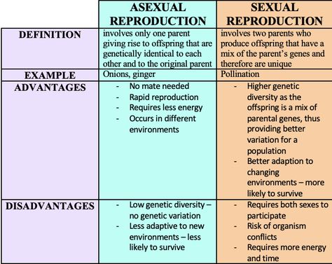 Asexual vs Sexual Reproduction in Plants Summary - HSC Biology (Module 5) Asexual Reproduction In Plants, Reproduction In Plants, Asexual Reproduction, Science Room, Biology Resources, Genetic Variation, Biology Notes, Biology, Science