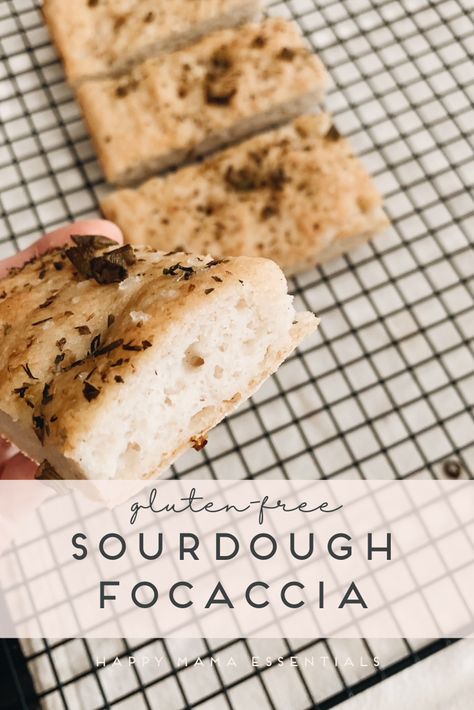 Gluten Free Sourdough Flatbread, Bakerita Gluten Free Sourdough, Gf Sourdough Focaccia, Gluten Free Sour Dough Discard Recipes, Sourdough Gluten Free Recipes, Gluten Free Sour Dough Recipes, Sourdough Bread Gluten Free, Gluten Free Sourdough Starter Discard Recipes, Gluten Free Sourdough Cookies