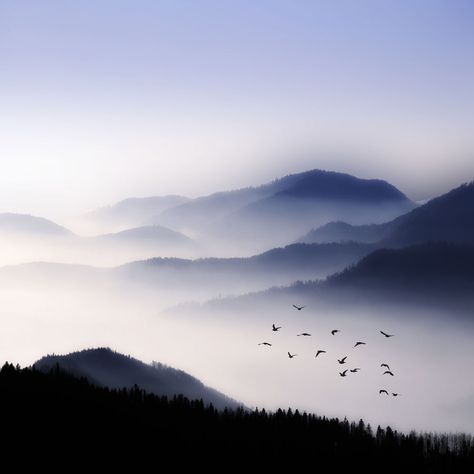 Flying Over The Fog by Philippe Sainte-Laudy Cer Nocturn, Foto Art, Trik Fotografi, Alam Yang Indah, Birds Flying, Mountain Range, Narnia, Nature Beauty, Beautiful World