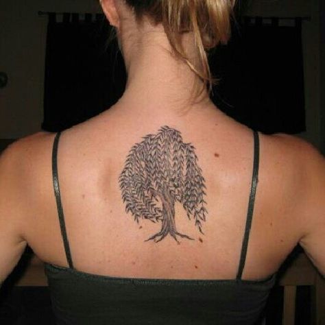 My Willow Tree Tattoo Willow Tree Tattoo On Back, Weeping Willow Tree Of Life Tattoo, Willow Tree Back Tattoo, Willow Tree Tattoo For Women, Willow Tattoos, Weeping Willow Tree Tattoo, Pm Tattoo, Weeping Willow Tattoo, Willow Tattoo