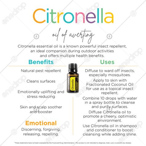 Clean Stainless Appliances, All Natural Cleaners, Citronella Essential Oil, Lemon Benefits, Citronella Oil, Doterra Wellness Advocate, Essential Oils Health, Sticker Removal, Essential Oil Benefits