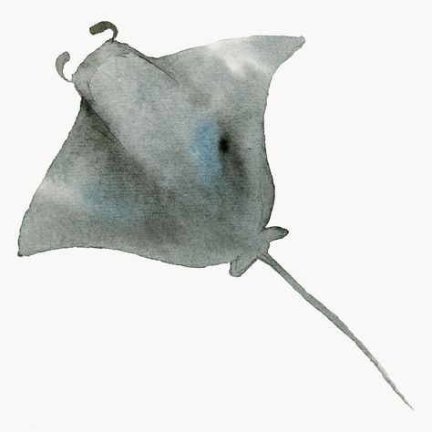 Manta Ray Drawing, Ray Drawing, Good Illustration, Underwater Plants, Sea Mammal, Watercolor Whale, Trending Images, Start Painting, Bedroom Artwork