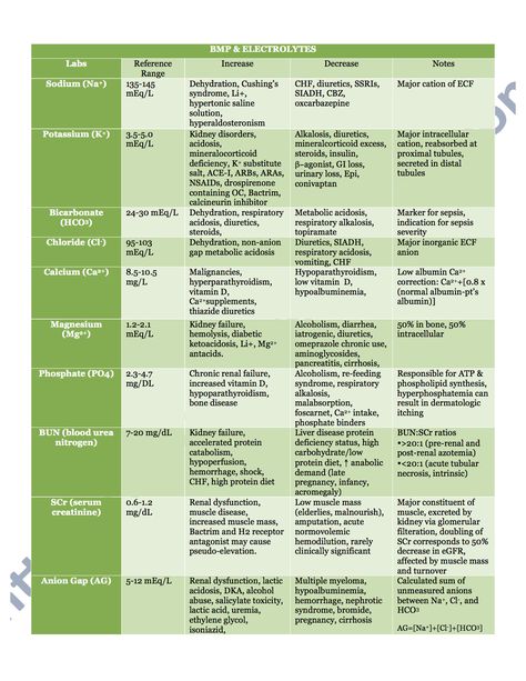 BMP & electrolytes lab reference values Fluid And Electrolytes Nursing Made Easy, Nursing Foundations, Lab Reference, Lab Training, Nursing Labs, Nursing Cheat Sheet, Laboratory Scientist, Medical Laboratory Scientist, Nursing Cheat