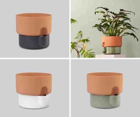 Botanical Gifts, Self Watering Containers, Plant Pot Design, Self Watering Pots, The Oasis, Terracotta Planter, Self Watering Planter, Succulent Terrarium, Pot Designs