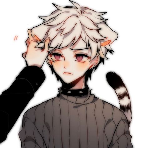 Anime Cat Boy, Cat Boy, Anime Cat, An Anime, White Hair, Anime Character, Hair, Anime, White