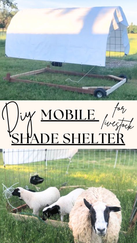 Mobile Goat Pen, Movable Goat Shelter, Pasture Shelter, Sheep Shelter, Barn Organization, Homestead Projects, Raising Sheep, Field Shelters, Sheep Farming