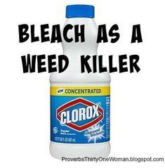 Bleach | Homemade Weed Killer To Stop Weeds In Their Tracks Natural Plant Fertilizer, Kill Weeds Naturally, Killing Weeds, Garden Remedies, Benefits Of Gardening, Garden Weeds, Proverbs 31 Woman, Garden Yard Ideas, Garden Pests