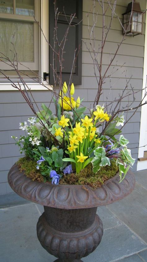 Friday's Faves | The Happy Housie Spring Planter, Container Gardening Flowers, Spring Outdoor, Flower Pots Outdoor, Outdoor Flowers, Garden Containers, Spring Easter Decor, Container Flowers, Deco Floral