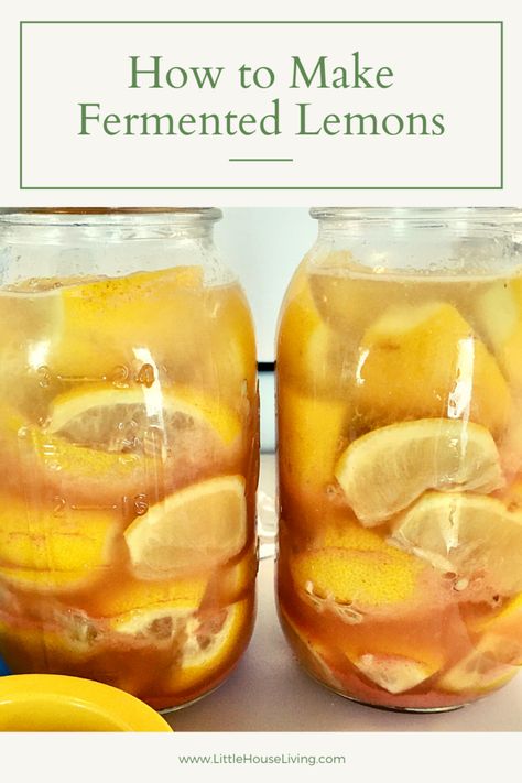 Want to keep some lemons around for as long as you can without taking up freezer space? These Fermented Lemons are crazy easy to make and they add a delightful flavor to many different dishes! Fermenting Lemons, Fermented Lemons, Garden Preservation, Lime Dessert Recipes, Pickled Recipes, Lemons Recipes, Fermented Fruit, Fermented Vegetables Recipes, Fermenting Foods