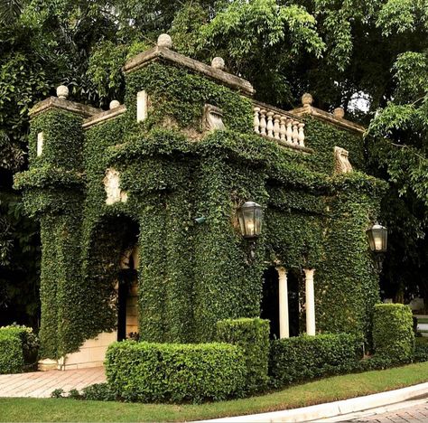 Green Luxury Aesthetic, Parterre Garden Design, Creeping Ivy, Parterre Garden, Creeping Fig, Luxury Landscaping, Countryside House, European Antiques, House Outside Design