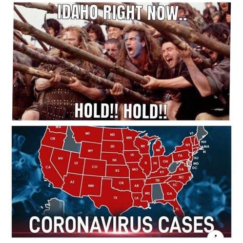 40 Cool Pics and Memes to Amuse and Delight - Funny Gallery Idaho Memes, Cool Pics, I Cant Even, Really Funny Memes, Funny Me, Your Brain, Memes Funny, Current Events, Idaho