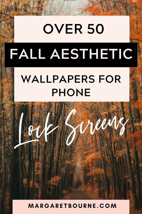 I've curated my favourite Fall wallpapers for iPhone screens. From Fall aesthetic, Fall landscape wallpapers to Halloween wallpapers. Early Fall Aesthetic Wallpaper, Late Fall Aesthetic Wallpaper, Early Fall Phone Wallpaper, Autumn Iphone Wallpaper Aesthetic, Fall Screensavers Wallpapers, Autumn Collage Wallpaper Iphone, Fall Trees Wallpaper Aesthetic, Moody Wallpaper, Attractive Wallpapers