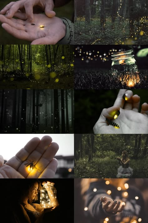 Fireflies aesthetic Firefly Aesthetic, Firefly Images, Firefly Photography, Lightening Bugs, Fire Flies, College Inspiration, Lightning Bugs, Firefly Art, Catching Fireflies