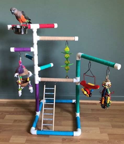 Bird Playstand/ Playgym/ Playground with Removable Stainless | Etsy Bird Play Gym, Parrot Play Stand, Homemade Bird Toys, Diy Parrot Toys, Budgie Toys, Green Cheek Conure, Bird Room, Diy Bird Toys, Parrot Stand