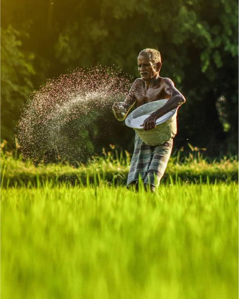 Farmers don't just work till the sun goes down, They work till the job gets done. This Amazing Shot is taken by @ansrdeen Visit us at www.wallmag.io for more details. WallMag - Where Photos Meet Stories 💛 #photography #photographer #farmer #farm Indian Agriculture Photos, Farmers Photography Indian, Agriculture Photography Farmers, Farmer Pic, Farmer Images India, Village Life Aesthetic, Farmer Pictures, Farmer Image, Farming Photo