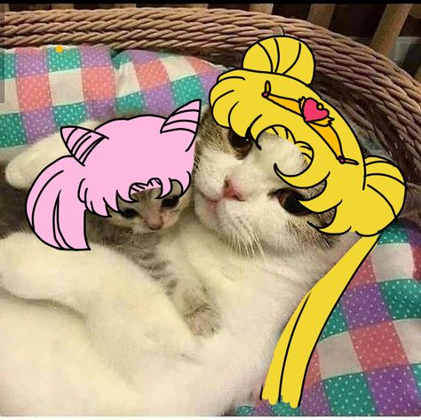 tags: Sailor moon, tsukino usagi, sailor moon meme, chibiusa tsukino, sailor chibi moon, mahou shoujo, bishoujo senshi sailor moon, neo-queen seretity, small lady Sailor Moon Disguise Pen, Sailor Moon Memes Funny, Usagi Tsukino Icons, Chibi Sailor Moon, Usagi Sailor Moon, Bookish Crafts, Sailor Moon Meme, Solar Moon, Sailor Moon Funny