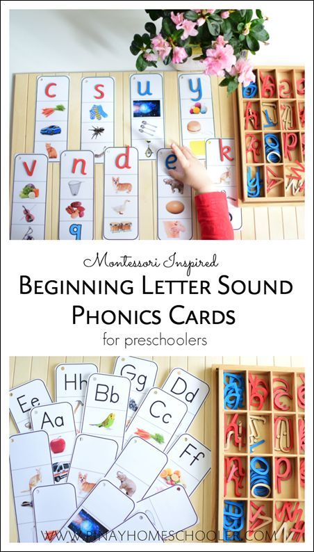 beginning letter phonics cards and activities for preschoolers Montessori 3 Part Cards, Montessori Phonics, Children's House, Phonics Cards, Phonics Flashcards, Montessori Language, Preschool Language, Montessori Lessons, Baby Montessori