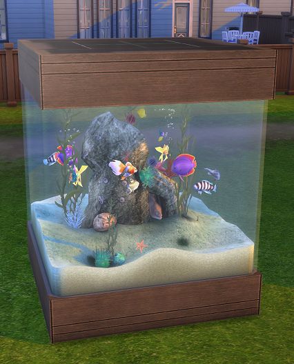 The Sims 4 | simsworkshop 50 Gallon Aquarium 2t4 conversion | buy mode activities - Spa Day GP02 required Sims 2t4 Conversion, Sims 4 Cc Fish Tank, Sims 4 Aquarium Cc, Sims Pets, Die Sims 4, Play Sims 4, Sims 4 Cc Kids Clothing, Muebles Sims 4 Cc, The Sims 4 Pc