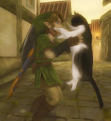 Zelda Screenshots, Twilight Princess, Legend Of Zelda, Art Blog, A Cat, My Art, Zelda, White, Black