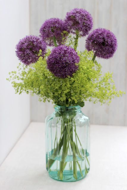 Allium in a simple design Allium Floral Arrangements, Allium Flowers Arrangement, Alium Flower Bouquet, Allium Bouquet, Alium Flower, Allium Flower, Allium Flowers, Floral Designs Arrangements, Alchemilla Mollis