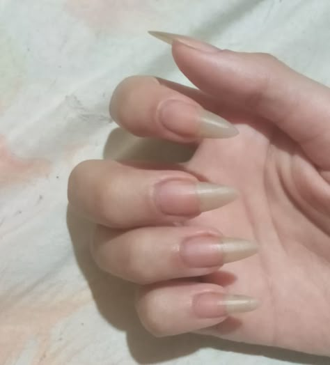 Sharp Nails Natural, Red Cherry Aesthetic, Long Natural Nails, Sharp Nails, Asian Nails, Nail Growth, Soft Nails, Pretty Hands, Red Cherry