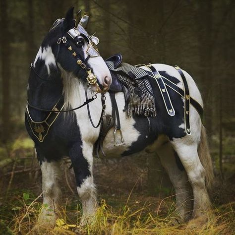 Horses In Armor, Medieval Horse Tack, Armored Horse, Horse Armour, Medieval Horse, The Nightingale, Horse Costumes, Horse Armor, Fall School