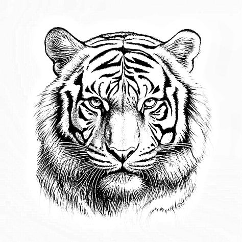 Tiger Head Tattoo Design, Tiger Head Tattoo, Persian Warrior, Basic Tattoos, Tattoo Reference, Head Tattoo, Small Minds, Eagle Tattoos, Head Tattoos