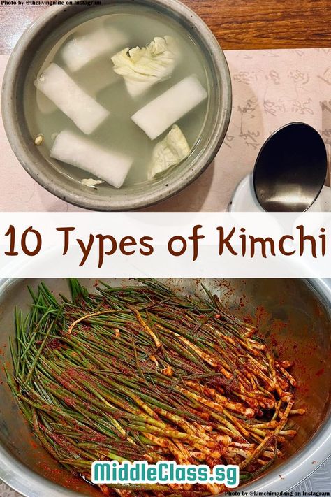 Napa Cabbage Korean Recipes, Different Types Of Kimchi, Types Of Kimchi, Mild Kimchi Recipe, Sweet Kimchi Recipe, Authentic Kimchi Recipe, Baek Kimchi Recipe, Scallion Kimchi, Mild Kimchi