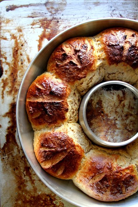 Honey Cinnamon Sourdough Brioche Sweet Rolls – A Cup of Sugar … A Pinch of Salt Sourdough Cruffins, Cinnamon Sourdough, Sourdough Brioche, Sourdough Ideas, Sourdough Rolls, Baking For Beginners, Farmer Market, Sourdough Starter Discard Recipe, Honey Cinnamon