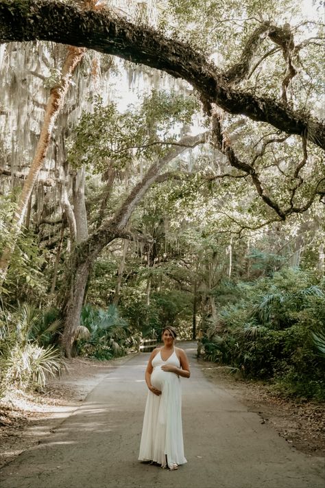 Oak Tree Maternity Photos, New Orleans Maternity Shoot, Tree Archway, Bump Photoshoot, Outdoor Maternity Photography, Deltona Florida, Bump Photography, Smyrna Beach Florida, New Smyrna Beach Florida