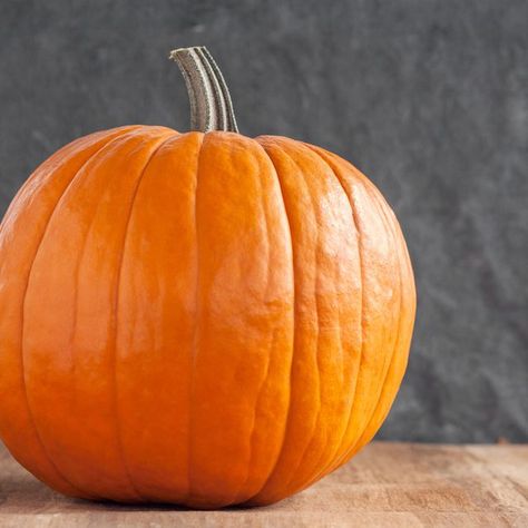 How to Keep Uncarved Pumpkins From Rotting Preserving Pumpkins, Household Cleaning Products, Pumpkin Pictures, Halloween Cans, Fall Crafts Diy, Halloween Magic, Harvest Season, Pumpkin Crafts, Fall Halloween Decor